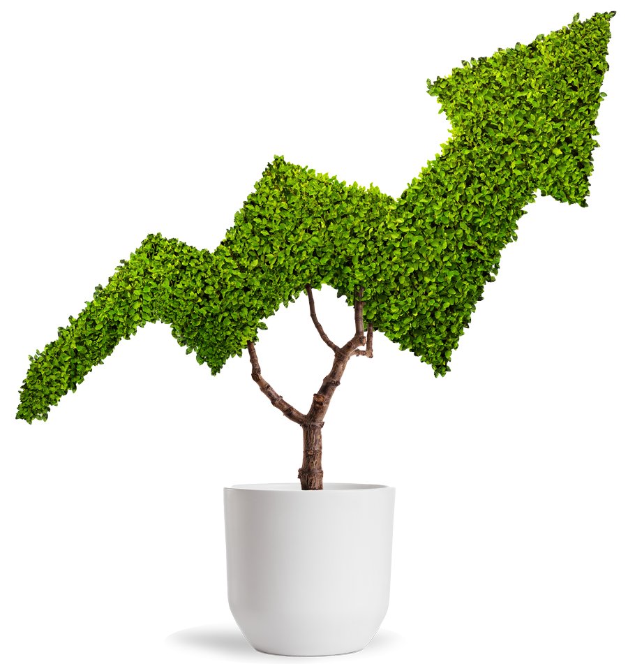 Pinnacle-Brokerage-image
